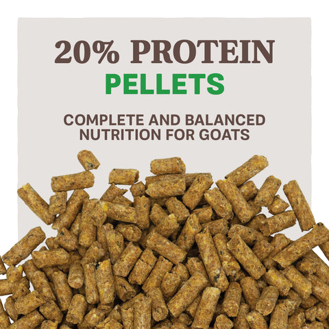 Home Fresh® 20 Dairy Goat Pellets Feed, 50 lb - Feed Pellets Sample