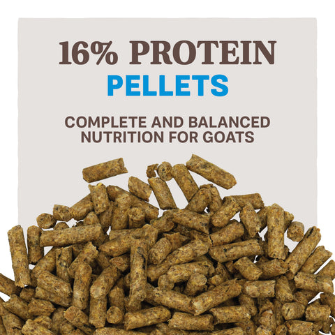 Home Fresh® 16 Goat Grow & Finish Pellets, 50 lb - Feed Pellets Sample