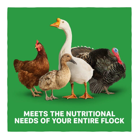 Home Fresh® Multi-Flock Chick Starter Grower Poultry Crumble Feed, 50 lb