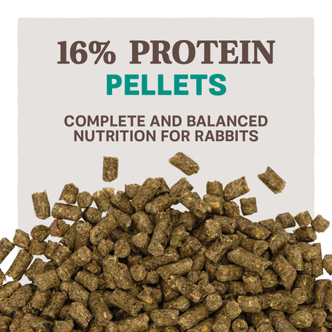 Home Fresh Pro Hutch 16 - Pellets Sample