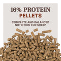 Home Fresh® Shepherd 16 Sheep Feed Pellets, 50 lb - Feed Pellets Sample
