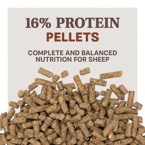 Home Fresh® Shepherd 16 Sheep Feed Pellets, 50 lb - Feed Pellets Sample