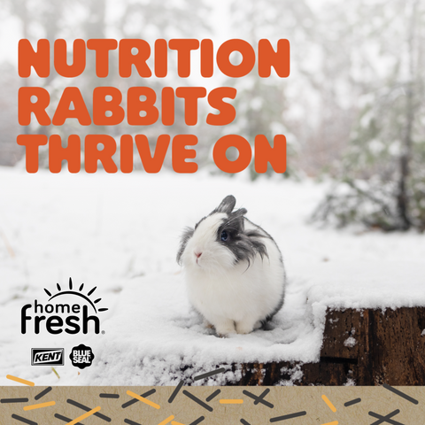 Home Fresh® Show Hutch Deluxe 17 Extruded Rabbit Feed, 50 lb