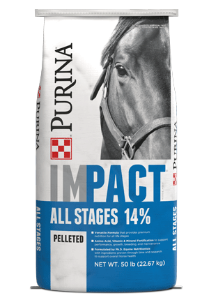 Purina Impact All Stages 14% Horse Feed 50 lb bag