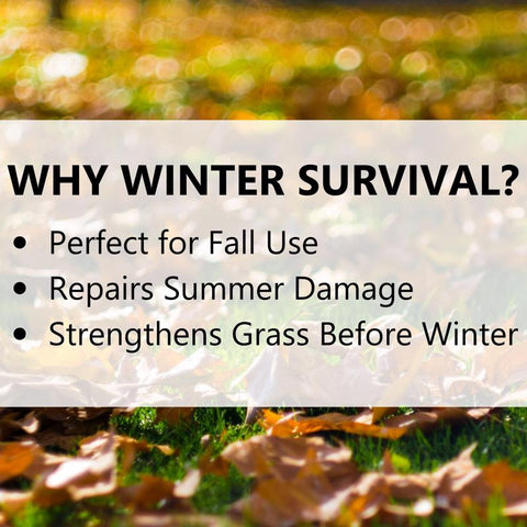 Jonathan Green Winter Survival Lawn Food, 5M