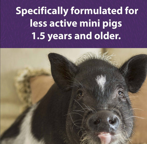 Mazuri® Mini Pig Mature Maintenance Food, 25 lb
