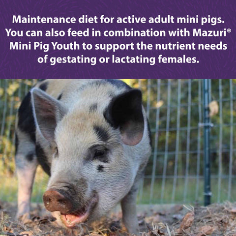Mazuri® Mini Pig Active Adult, 25 lb – view 2