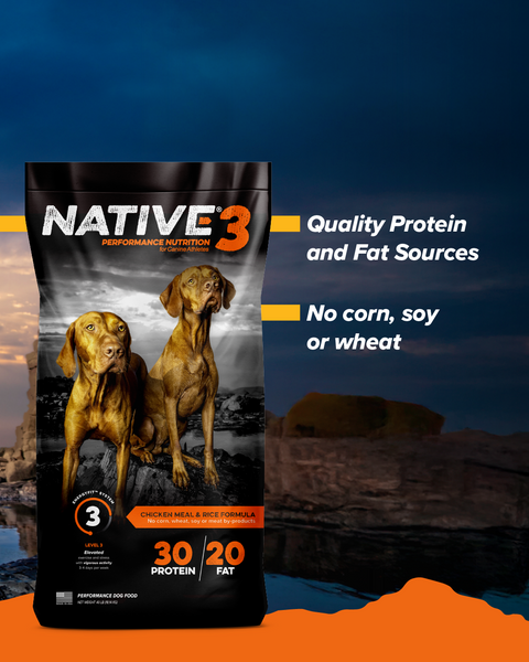 Native® Level 3 Dog Food, 20 lb