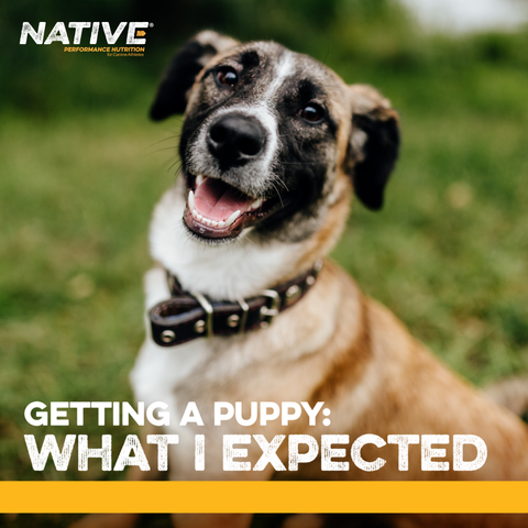 Native® Puppy Dog Food, 40 lb