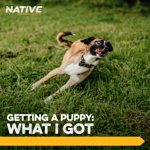 Native® Puppy Dog Food, 40 lb