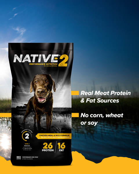 Native® Level 2 Dog Food, 40 lb
