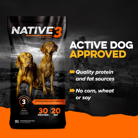 Native® Level 3 Dog Food, 20 lb