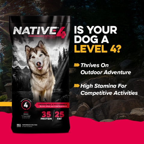 Native® Level 4 Dog Food, 40 lb