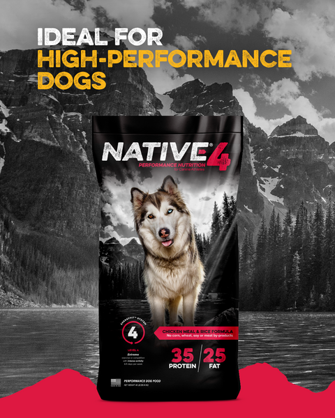 Native® Level 4 Dog Food, 40 lb