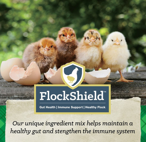NatureWise® Chick Starter Grower 18% Protein Crumble Poultry Feed,  50 lb