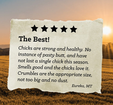 NatureWise® Chick Starter Grower 18% Protein Crumble Poultry Feed,  50 lb
