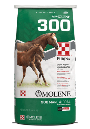 Purina® Omolene® #300 Mare & Foal Horse Feed, 50 lb