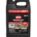 Ortho GroundClear Vegetation Killer Concentrate, 2 Gallon