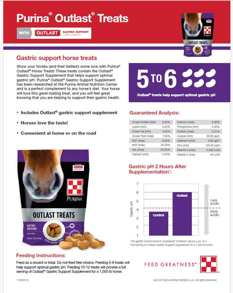 Purina® Outlast® Horse Treats, 3.5 lb