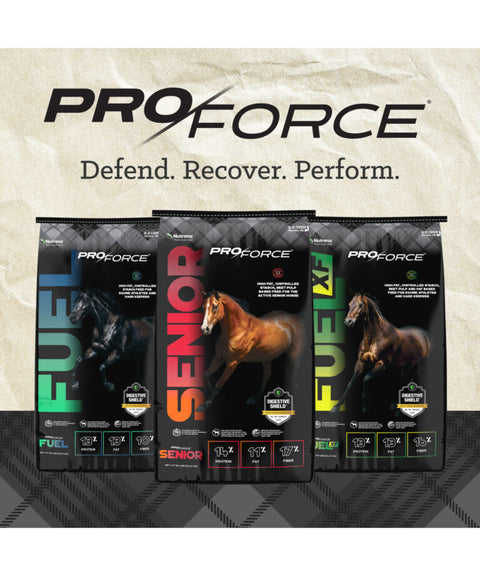 Nutrena® ProForce® Fuel XF Horse Feed, 50 lb