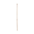Panacea Wood Plant Stake, 60 in