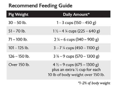Mazuri® Mini Pig Mature Maintenance Food, 25 lb