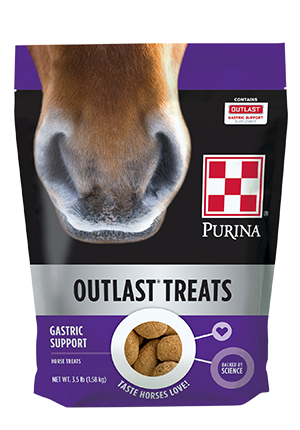 Purina® Outlast® Horse Treats, 3.5 lb