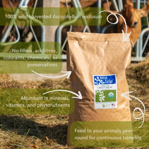 SeaLife USDA Organic Seaweed Meal, 50 lb