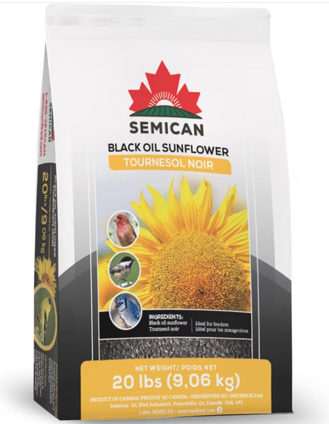 Semican Black Oil Sunflower Seeds Wild Bird Food, 20 lb
