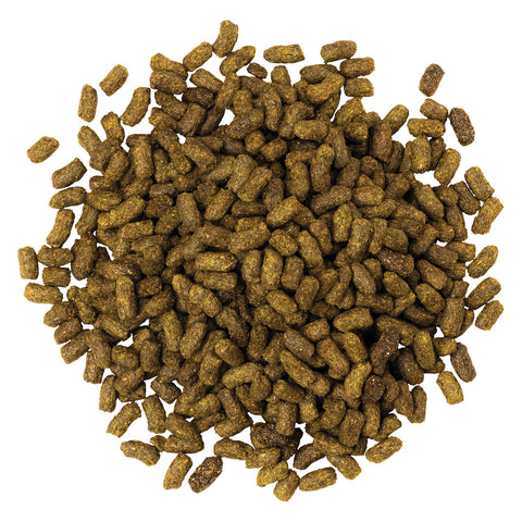 Sentinel LifeTime extruded nuggets