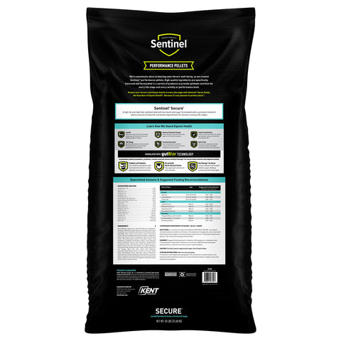 Sentinel Secure 50 lb bag, back panel