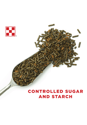 Purina® Strategy® Healthy Edge® Horse Feed, 50 lb