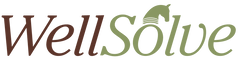 WellSolve