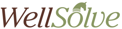 WellSolve