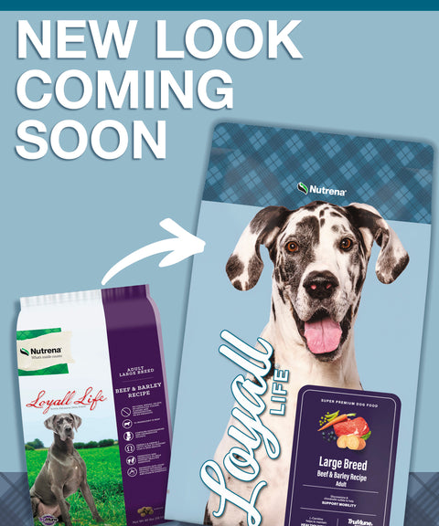 Nutrena® Loyall Life® Large Breed Beef & Barley Recipe Adult Dog Food 40 lbs