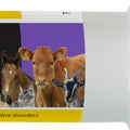 Durvet Activated Clay Gel