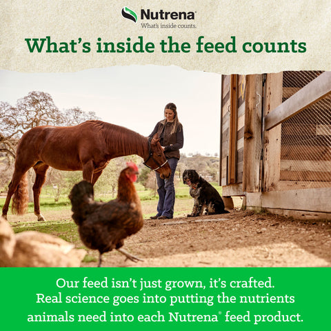 Nutrena® NatureWise® Feather Fixer® 18% Protein Pellet 40 lbs