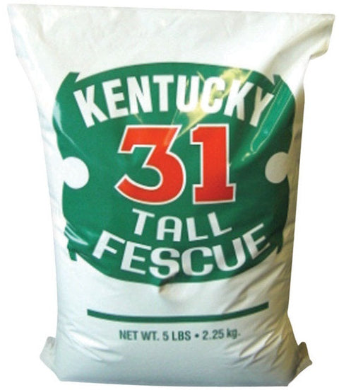 Barenbrug K-31 Tall Fescue Grass Seed, 5 lb