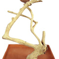 JAVA WOOD TABLE TOP BIRD PLAY STAND 22X14X22 IN
