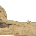 JAVA WOOD REPTILE BRANCH MD