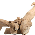 JAVA WOOD REPTILE BRANCH LG