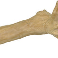 JAVA WOOD REPTILE BRANCH XL
