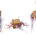 HAPPY BEAKS CRINKLE HUTS BIRD TOY