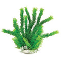 CABOMBA-LIKE WEIGHTED AQUARIUM PLANT 16 IN GREEN
