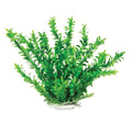 ANACHARIS-LIKE WEIGHTED AQUARIUM PLANT 12 IN GREEN