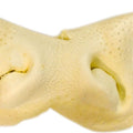 NATURE'S OWN USA NOT-RAWHIDE CHEW TREAT XL STEAK