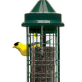 SQUIRREL BUSTER FINCH WILD BIRD FEEDER 2.4 LB CAP GREEN