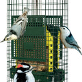 SQUIRREL BUSTER SUET WILD BIRD FEEDER 2 CAKE CAP GREEN