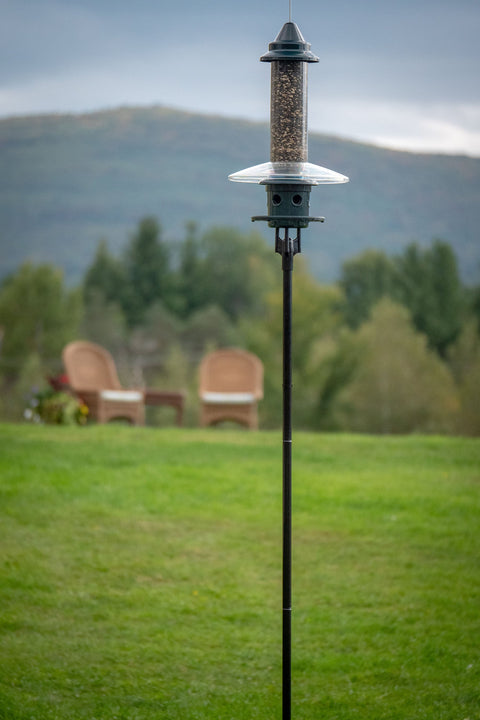 BIRDSUP SINGLE POLE 5 FT BLACK