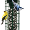 SQUIRREL SOLUTION 150 WILD BIRD FEEDER 2.5 LB CAP FOREST GREEN
